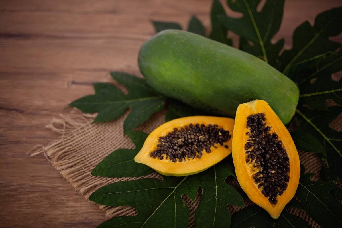 ¿Qué es la papaya?