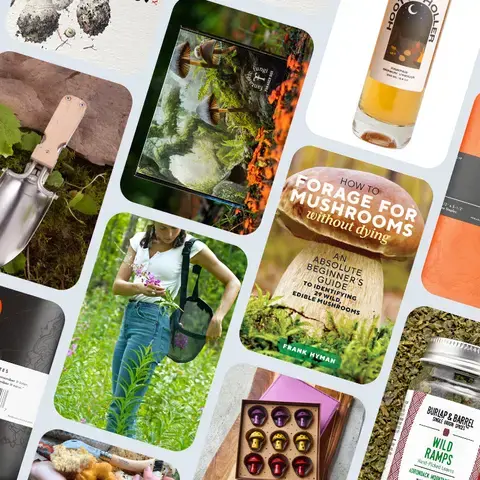 Forager’s gift guide.