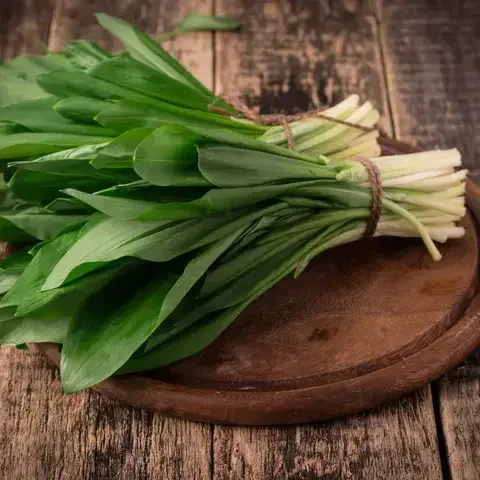 Wild Garlic