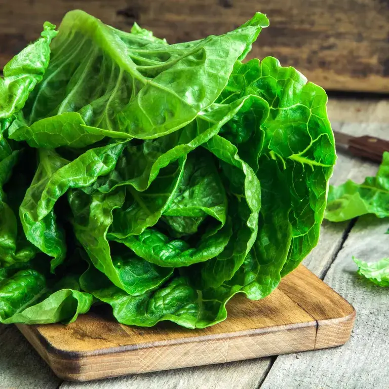 butter-lettuce-health-benefits