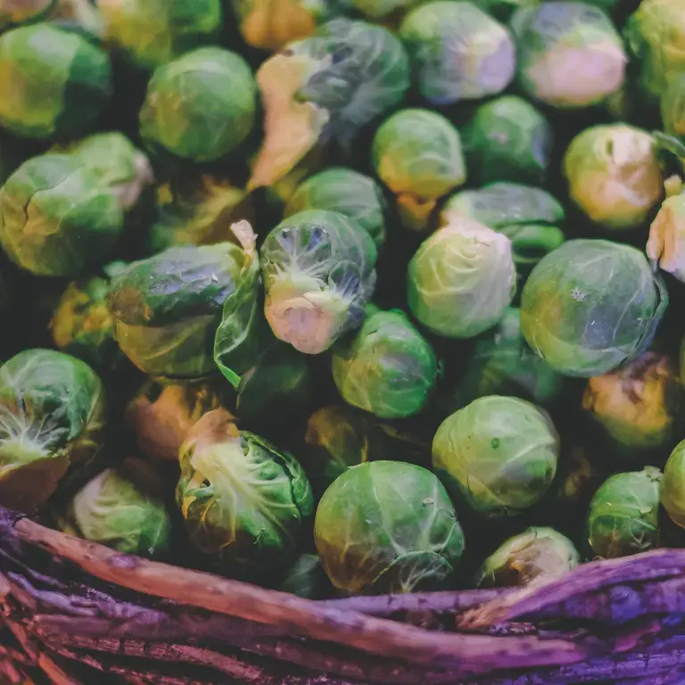 brussels-sprouts-in-basket