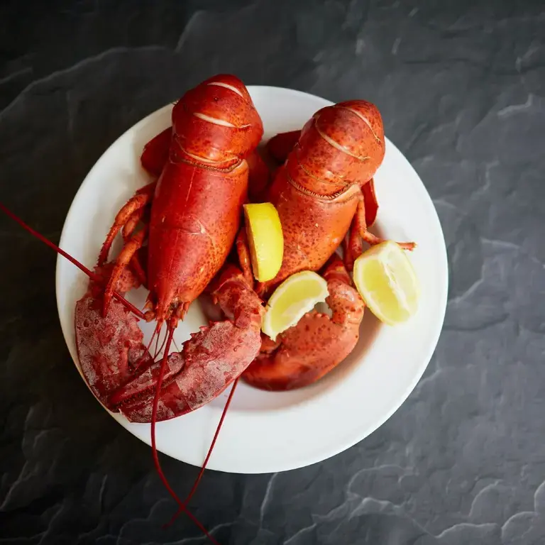 two fresh lobsters on a plate