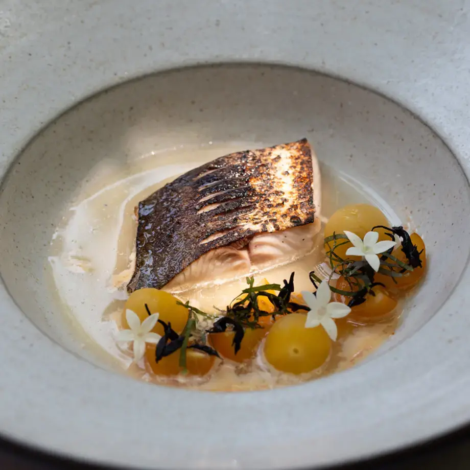 Mackerel with sungold tomato, mentaiko, and hijiki by Mary Attea.