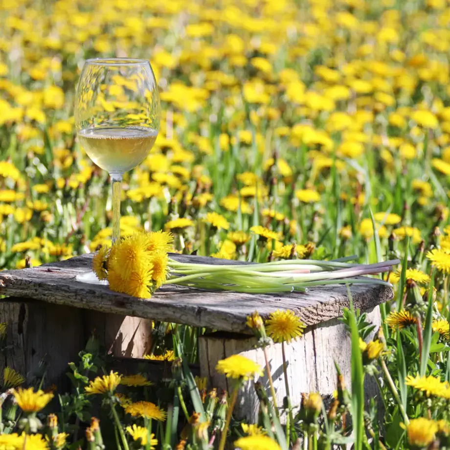 Dandelion wine.