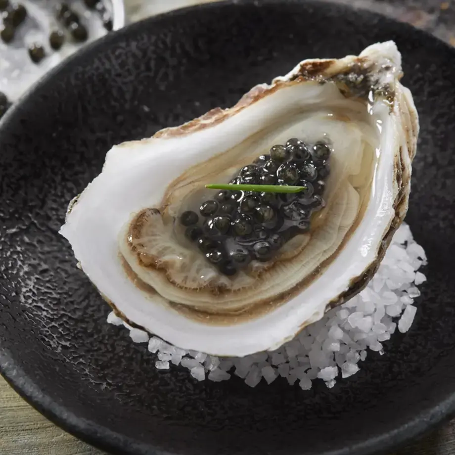 Oyster, a humble food that became luxury.