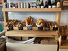 La Bicyclette Bakery