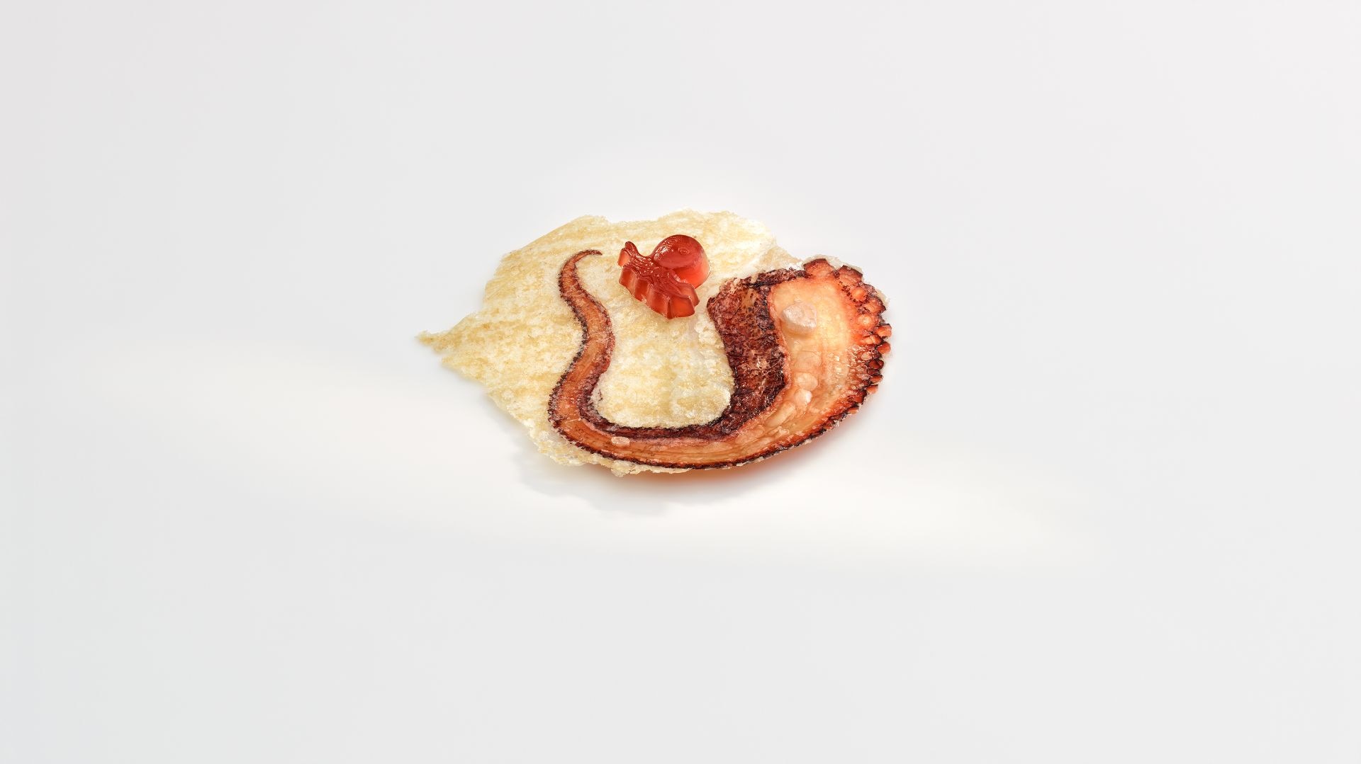 a minimalist dish featuring octopus on new Mugaritz menu 2022