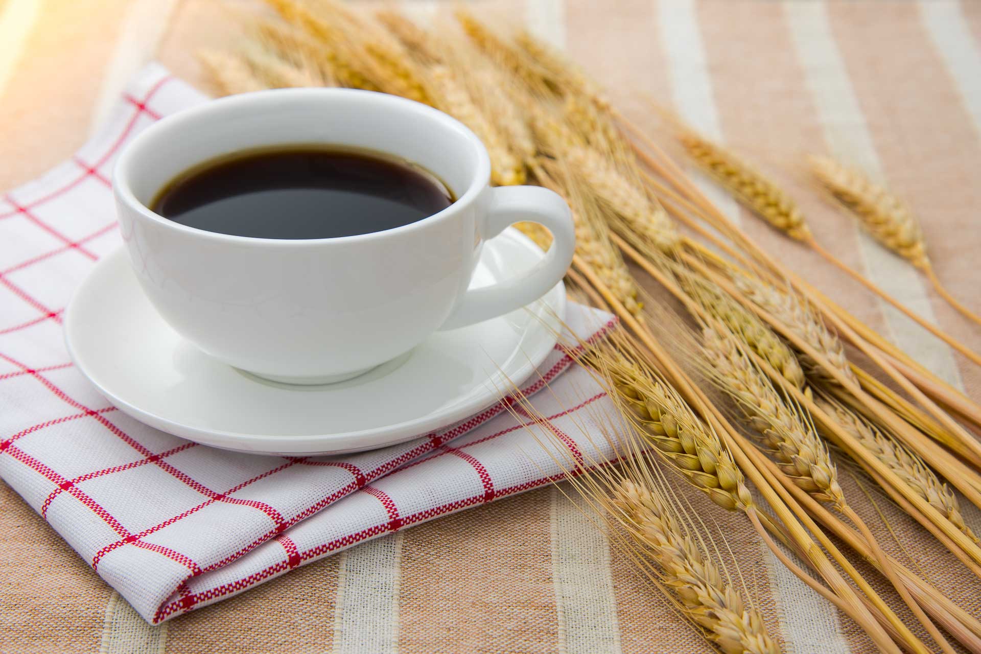 White ceramic cup of black coffee with dried barleys on the table