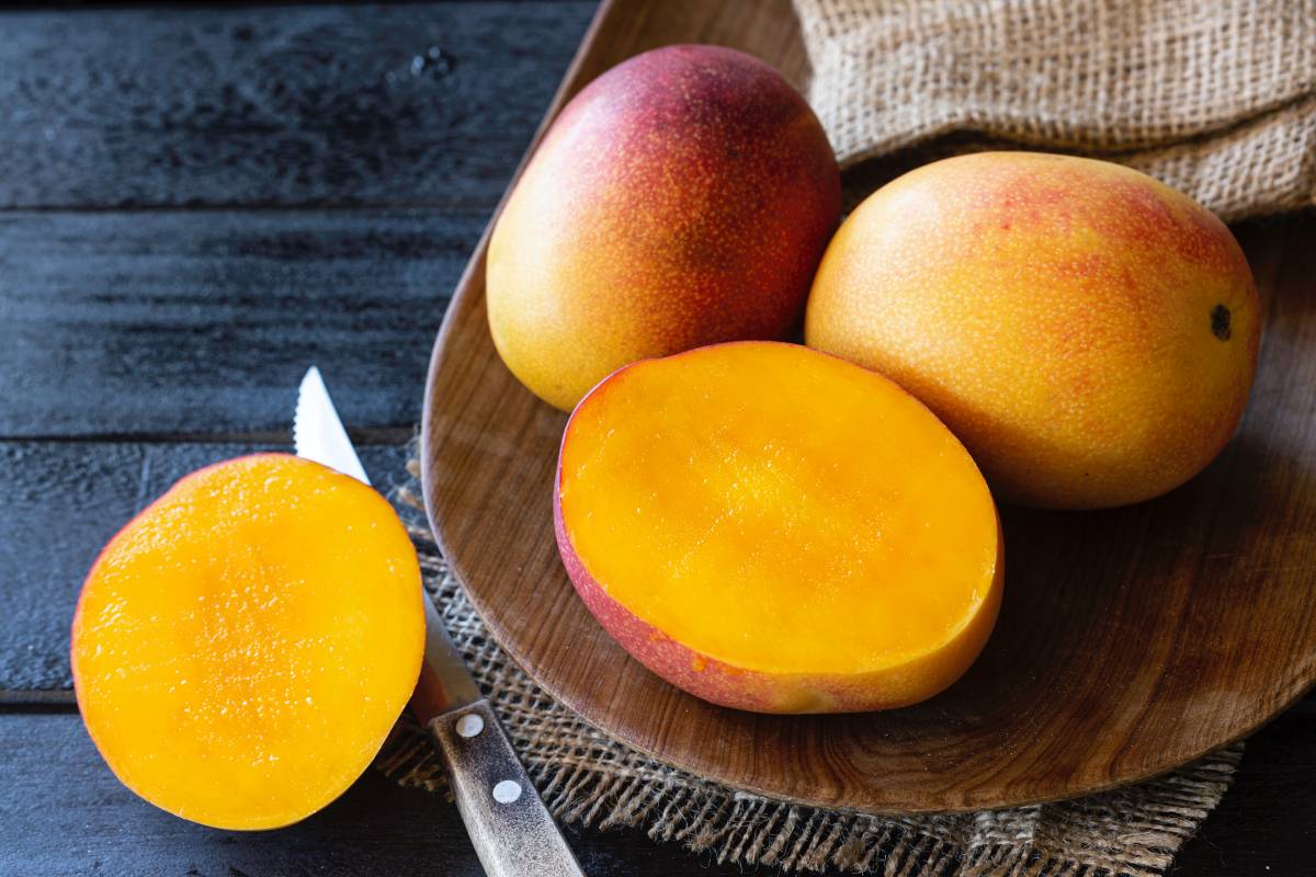 <b>Mango</b> is a tropical fruit that reach peak season in the spring. 