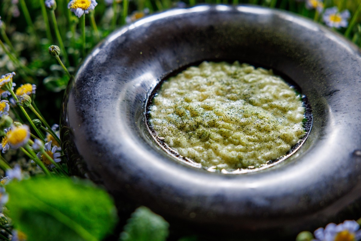 Risotto of broad beans, citron and watercress at Sintesi.