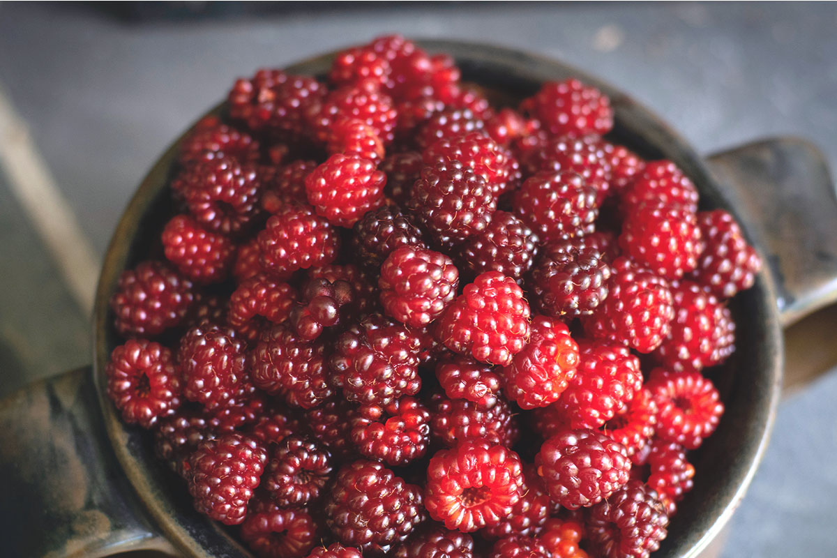 Raspberries, a summer fruit. 