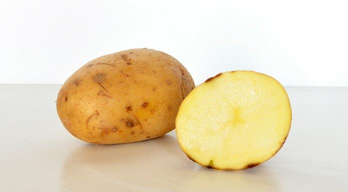 l_11237_Potato.jpg