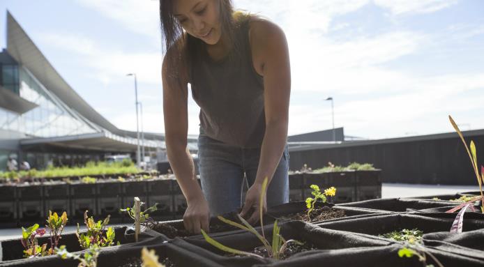 l_11516_jetblue-t5-farm-top.jpg