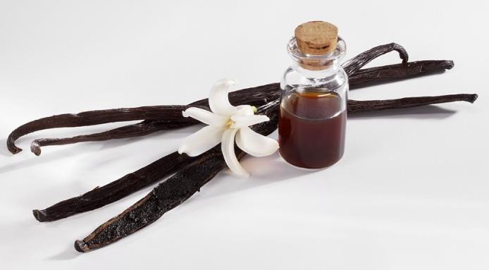 l_9249_vanilla.extract.jpg