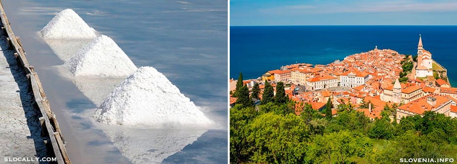 Salt Farming | Piran