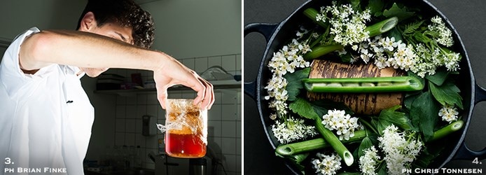 Checking a fermented grasshopper garum | Lovage flute with bee larvae