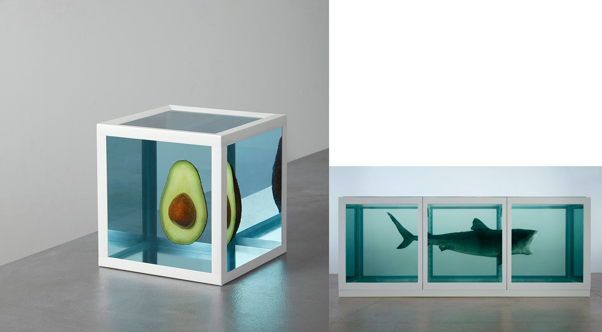 Kyle Bean and Damien Hirst