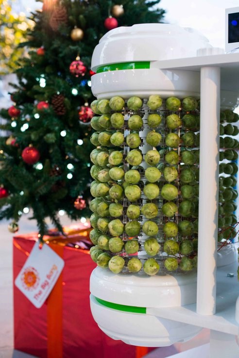 Brussel Sprouts Battery