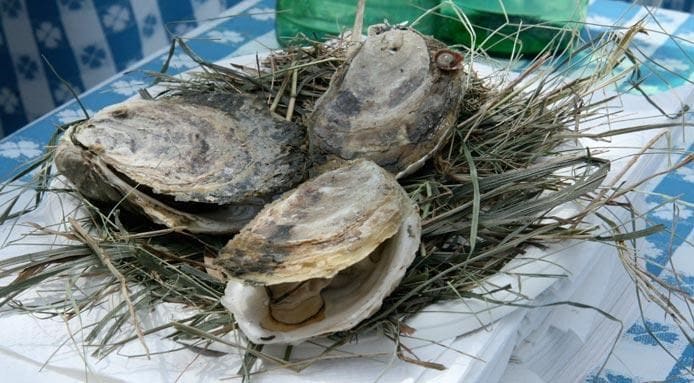 Grilled Oysters