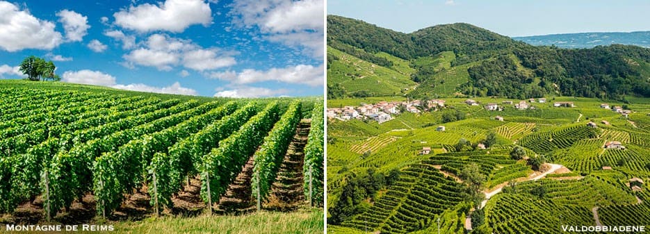 Montagne de Reims Champagne Region | Valdobbiadene Prosecco Region