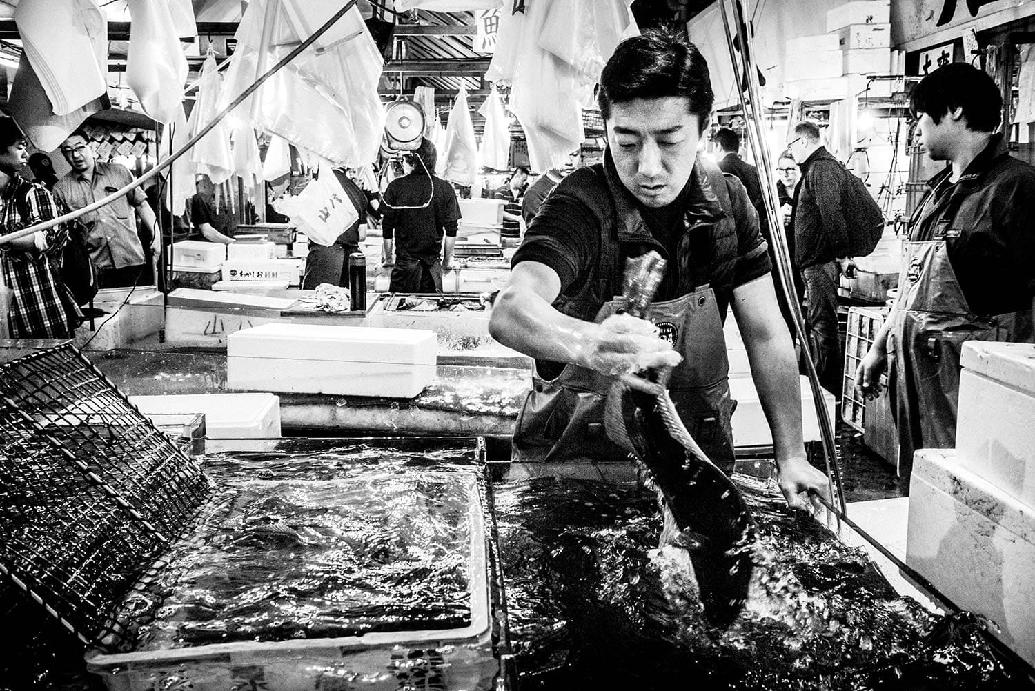 Tokyo Tsukiji #27