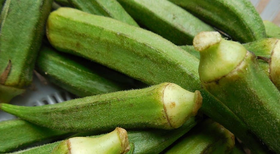 Okra