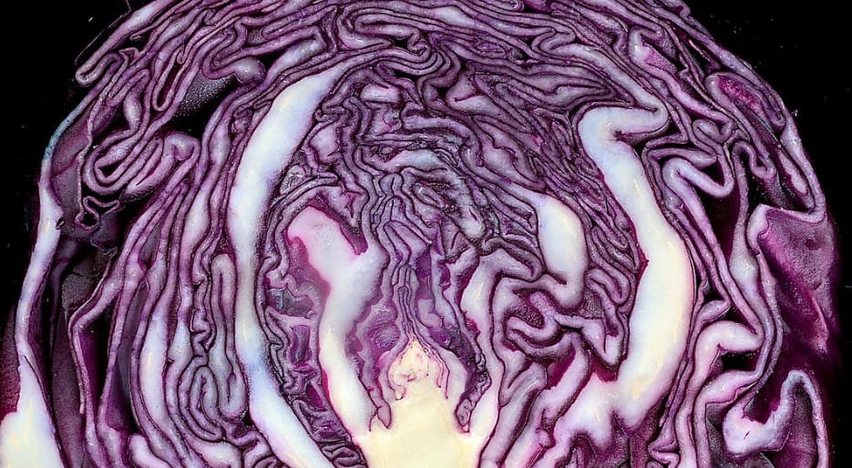 Red_cabbage