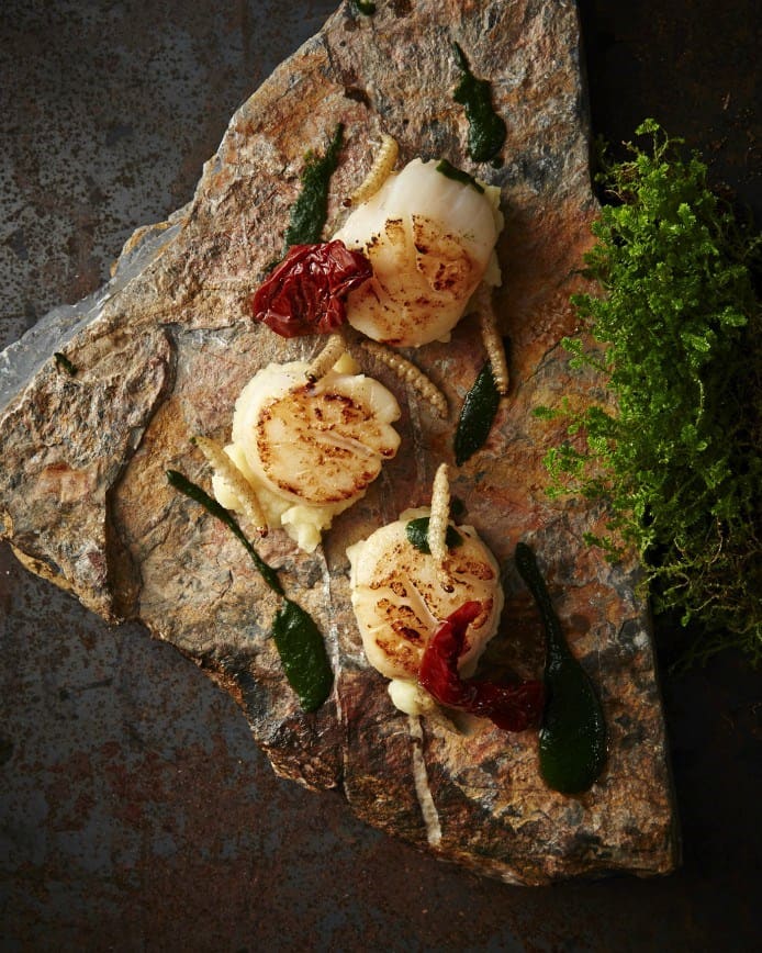 Scallops and crispy caterpillars