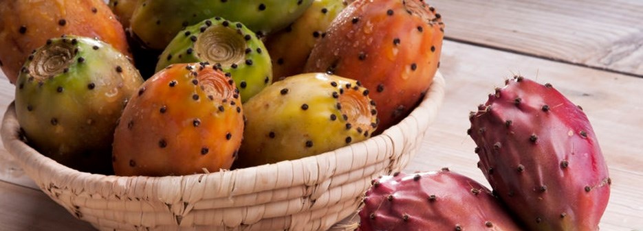  Prickly pears varieties