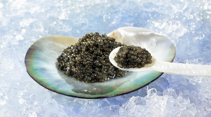 caviar in shell