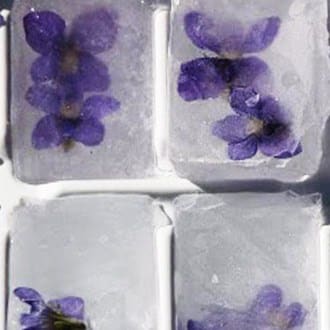 Edible Flowers Tips | Flower Ice Cubes