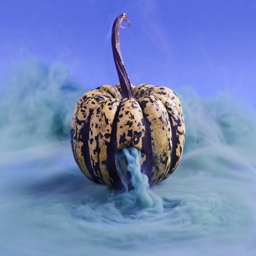 food-art-squash