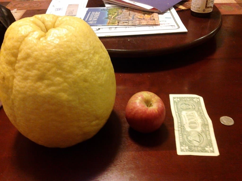 giant lemon