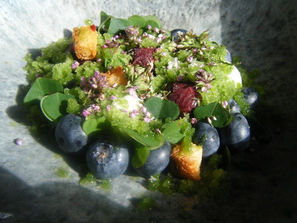 noma 1024 blueberries