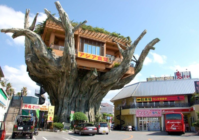 tree.restaurant.japan